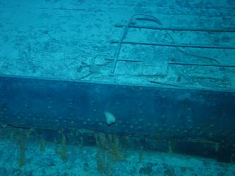 Well deck above concealment flap for above-water torpedo tubes